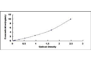 ELISA image for Chemokine (C-X-C Motif) Ligand 16 (CXCL16) ELISA Kit (ABIN424113)