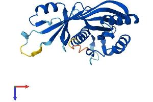 MED20 Protein (AA 1-212) (His tag)