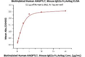 ELISA image for Angiopoietin-Like 7 (ANGPTL7) (AA 27-346) (Active) protein (Fc Tag,AVI tag,Biotin) (ABIN5954950)