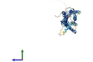 Protein Structure (PS) image for Neuropeptide Y Receptor Y1 (NPY1R) (AA 1-382) protein (His tag) (ABIN7556880)