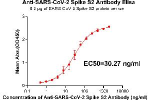 Elisa plate pre-coated by 2 μg/mL(100 μL/well) SARS-CoV-2 Spike S2 protein can bind Rabbit Anti-SARS-CoV-2 Spike S2 monoclonal antibody (clone:DM24) in a linear range of 1. (SARS-CoV-2 Spike S2 Antikörper)