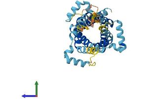 AlphaFold protein structure predicition of Mouse Recombinant Slc25a40 Protein, UniprotID Q8BGP6
