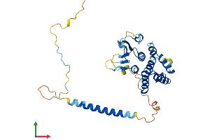 Protein Structure (PS) image for Aminoacyl tRNA Synthetase Complex-Interacting Multifunctional Protein 2 (AIMP2) (AA 1-320) protein (His tag) (ABIN7559611)