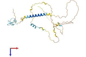 C18orf1 Protein (AA 1-306) (His tag)