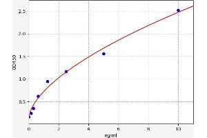 Typical standard curve (SDCBP2 ELISA Kit)