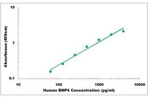Representative Standard Curve