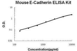 Mouse E-Cadherin Accusignal ELISA Kit Mouse E-Cadherin AccuSignal ELISA Kit standard curve. (E-cadherin ELISA Kit)