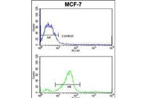 Flow cytometric analysis of MCF-7 cells (bottom histogram) compared to a negative control cell (top histogram). (CHMP4B Antikörper  (N-Term))