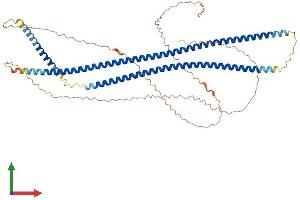 Protein Structure (PS) image for Keratin 10 (KRT10) (AA 1-570) protein (His tag) (ABIN7562725)