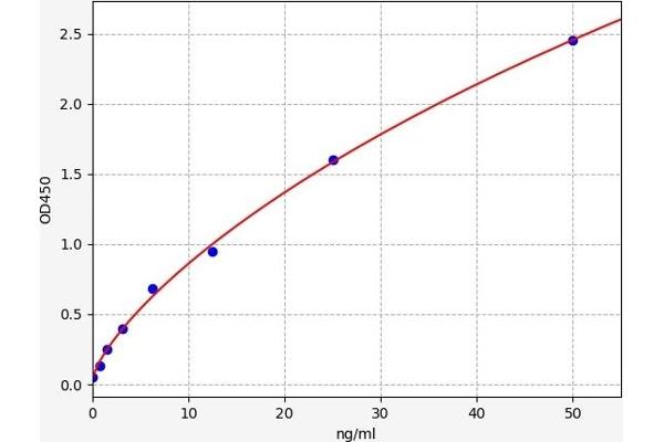 SMAD1 ELISA Kit