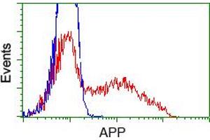 Image no. 6 for anti-Amyloid beta (A4) Precursor Protein (APP) antibody (ABIN1496876) (APP Antikörper)