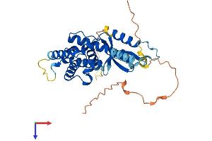 GAS2 Protein (AA 1-313) (His tag)