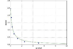 Estrone ELISA Kit