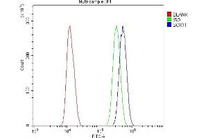 Flow Cytometry analysis of U20S cells using anti-SOX11 antibody (ABIN7599320). (SOX11 Antikörper  (AA 1-374))