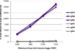 FLISA plate was coated with purified human IgGκ, IgMκ, IgAκ, IgGλ, IgMλ, and IgAλ. (Ziege anti-Human Ig (Chain kappa) Antikörper (TRITC))