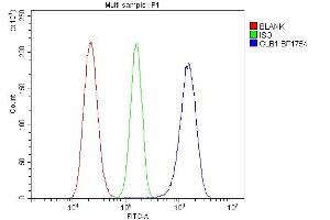 Flow Cytometry analysis of RH35 cells using anti-GLB1 antibody (ABIN7599649).