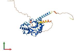 AlphaFold protein structure predicition of Human Recombinant AKAP7 Protein, UniprotID Q9P0M2