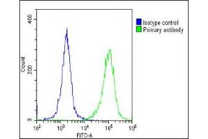 Overlay histogram showing HeLa cells stained with (ABIN1539662 and ABIN2848878)(green line). (HNRNPR Antikörper  (N-Term))