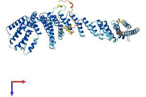 NUP85 Protein (AA 1-656) (His tag)