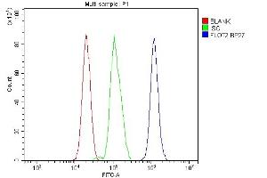 Flow Cytometry analysis of RH35 cells using anti-Flotillin 2 antibody (ABIN3042393). (Flotillin 2 Antikörper  (AA 169-344))