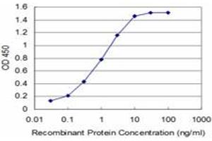 Detection limit for recombinant GST tagged TLX3 is approximately 0. (TLX3 Antikörper  (AA 192-291))