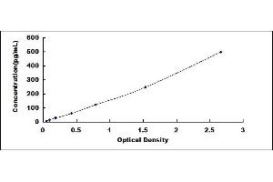 Typical standard curve (IL1F10 ELISA Kit)