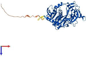 DOM3Z Protein (AA 1-396) (His tag)