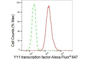 Flow cytometric analysis of YY1 transcription factor expression in HepG2 cells using YY1 transcription factor antibody (ABIN7800887), 1:2,000). (Rekombinanter YY1 Antikörper)