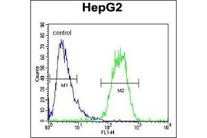Flow cytometric analysis of HepG2 cells using SEC13 Antibody (Center) Cat.