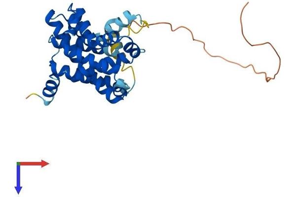 TMEM38B Protein (AA 1-291) (His tag)