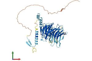 Protein Structure (PS) image for DDB1 and CUL4 Associated Factor 4 (DCAF4) (AA 1-495) protein (His tag) (ABIN7546975)
