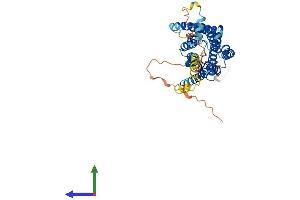 Protein Structure (PS) image for G Protein-Coupled Receptor 63 (GPR63) (AA 1-425) protein (His tag) (ABIN7561408)