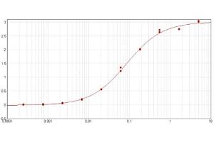 ELISA results of purified Goat Anti-GST Antibody tested against GST. (GST Antikörper)