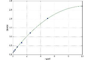 A typical standard curve