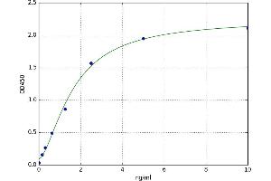 A typical standard curve (RAB10 ELISA Kit)