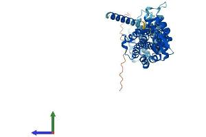 Protein Structure (PS) image for COP9 Constitutive Photomorphogenic Homolog Subunit 2 (Arabidopsis) (COPS2) (AA 1-443) protein (His tag) (ABIN7563492)