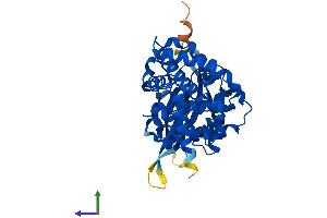 AlphaFold protein structure predicition of Mouse Recombinant Hykk Protein, UniprotID Q5U5V2