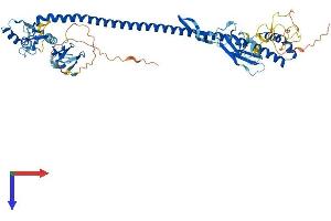 TRIM45 Protein (AA 1-580) (His tag)