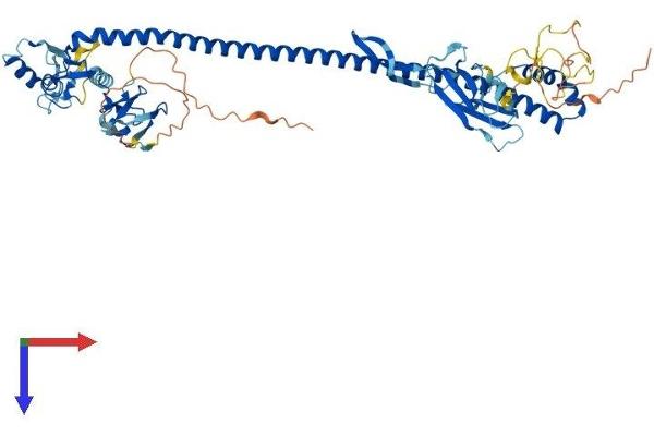 TRIM45 Protein (AA 1-580) (His tag)