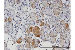 Image no. 1 for anti-Angiopoietin 4 (ANGPT4) (AA 25-112) antibody (ABIN599558) (Angiopoietin 4 Antikörper  (AA 25-112))