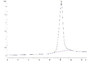 Size-exclusion chromatography-High Pressure Liquid Chromatography (SEC-HPLC) image for Kallikrein B, Plasma (Fletcher Factor) 1 (KLKB1) (AA 20-638) protein (His tag) (ABIN7275098)
