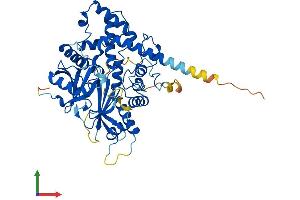 Protein Structure (PS) image for Inositol 1,3,4,5,6-Pentakisphosphate 2-Kinase (IPPK) (AA 1-491) protein (His tag) (ABIN7548519)