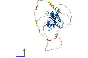 Protein Structure (PS) image for Transcription Factor AP-2 gamma (Activating Enhancer Binding Protein 2 Gamma) (TFAP2C) (AA 1-449) protein (His tag) (ABIN7557689)