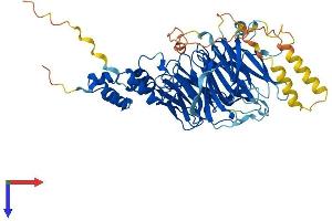 FBXW5 Protein (AA 1-573) (His tag)