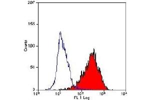 Staining of HUT78 cells with antibody ABIN118814 (CD90 Antikörper  (PE))