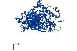 ACAT2 Protein (AA 1-397) (His tag)