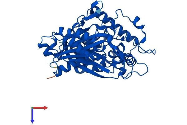 ACAT2 Protein (AA 1-397) (His tag)