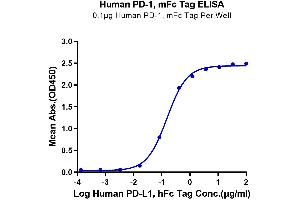 PD-1 Protein (AA 25-167) (mFc Tag)