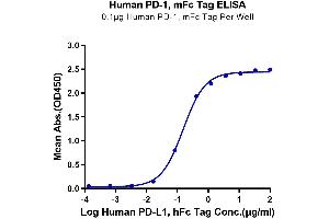 Immobilized Human PD-1, mFc Tag at 1 μg/mL (100 μL/well) on the plate.