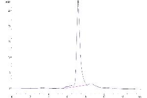 The purity of Mouse TREML2/TLT-2 is greater than 95 % as determined by SEC-HPLC. (TREML2 Protein (AA 25-270) (His tag))